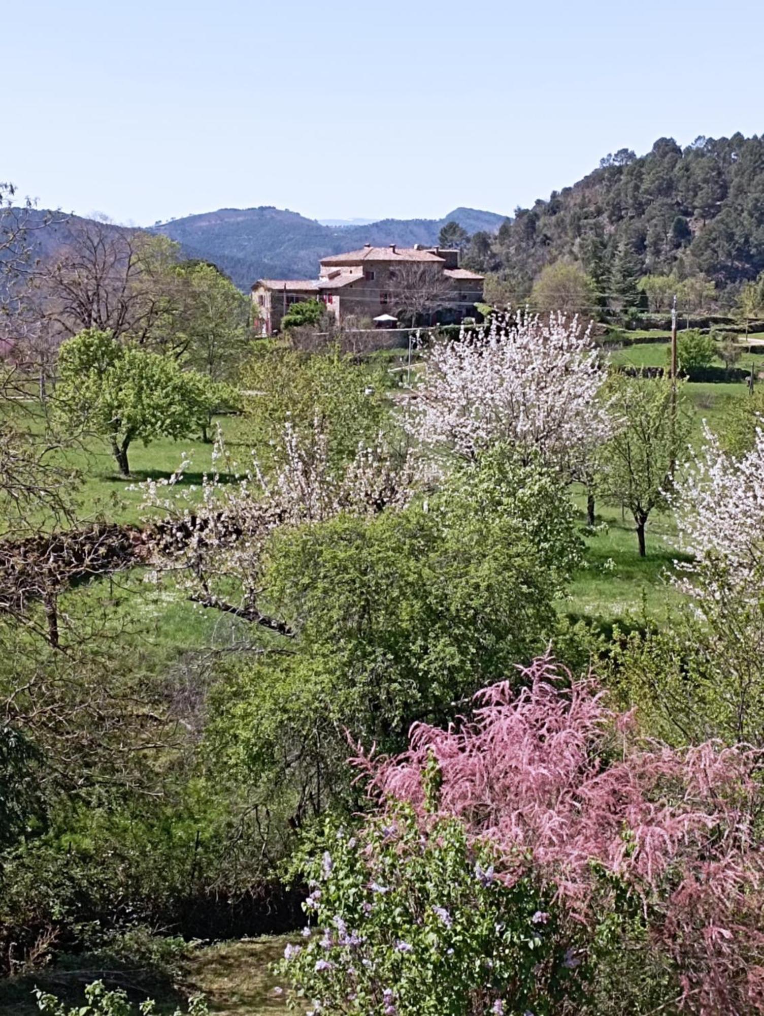 Chambre D'Hote Dans Mas Proche Anduze Cevennes Avec Piscine Mialet  Exterior foto