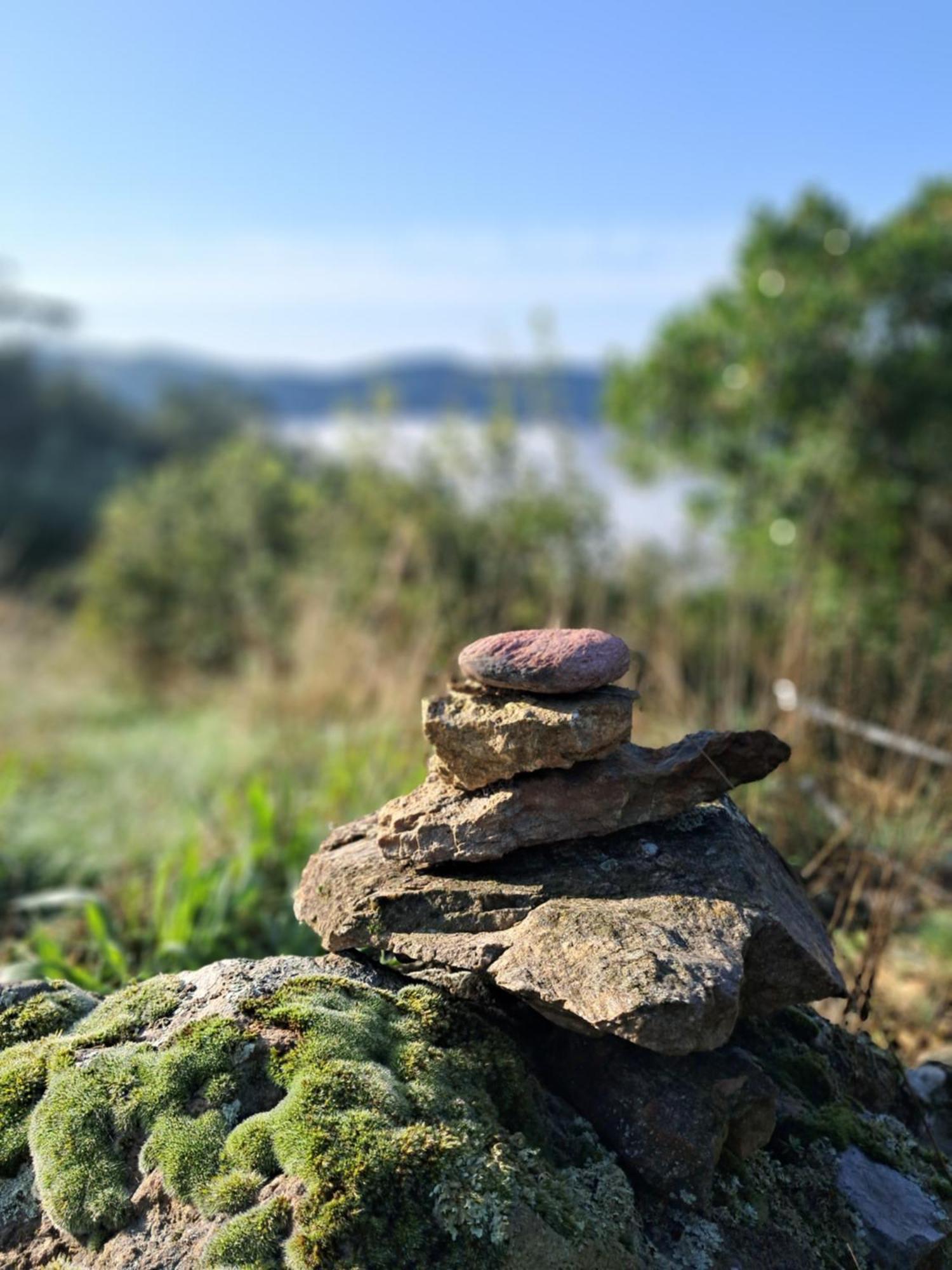 Chambre D'Hote Dans Mas Proche Anduze Cevennes Avec Piscine Mialet  Exterior foto